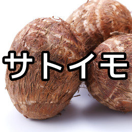 サトイモ(里芋)の写真